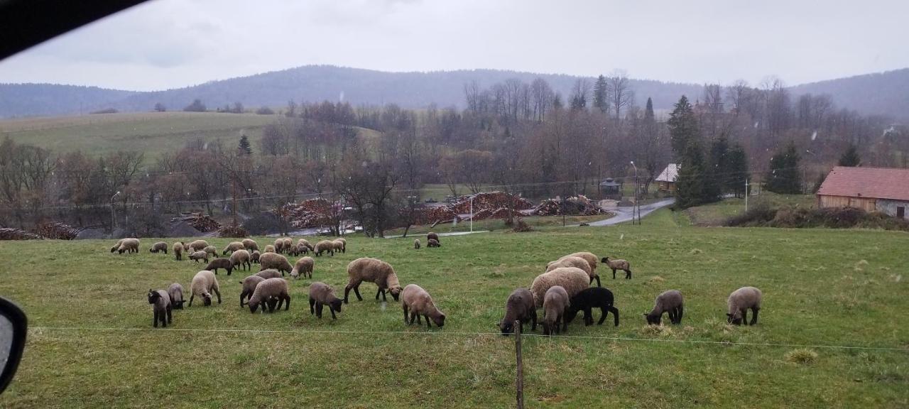 K85 Baza Noclegowa Wypadowa Bieszczady Beskid Niski Guest house *